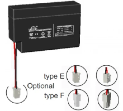 Leoch DJW12-0.8